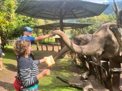 Teacher &Voluntrees Christliche Deutsche Schule Chiang Mai <CDSC> | Chiang Mai Trekking | The best trekking in Chiang Mai with Piroon Nantaya